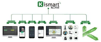 2018年上海市健身俱樂部數據報告 信息技術驅動行業變革與未來展望